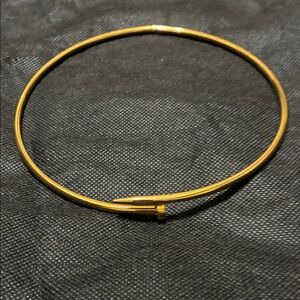 Elegant Gold Choker